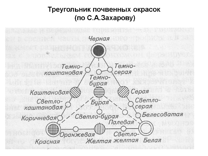 Треугольник почвенных окрасок  (по С.А.Захарову)